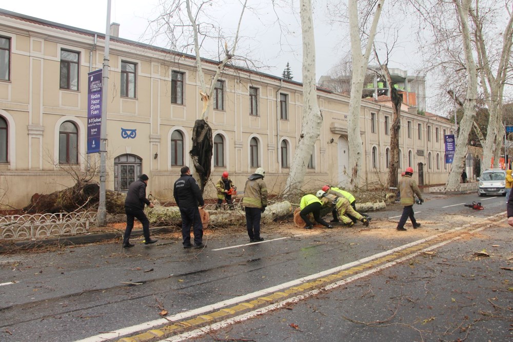 Beşiktaş'ta fırtına nedeniyle asırlık çınar ağacı devrildi - 2