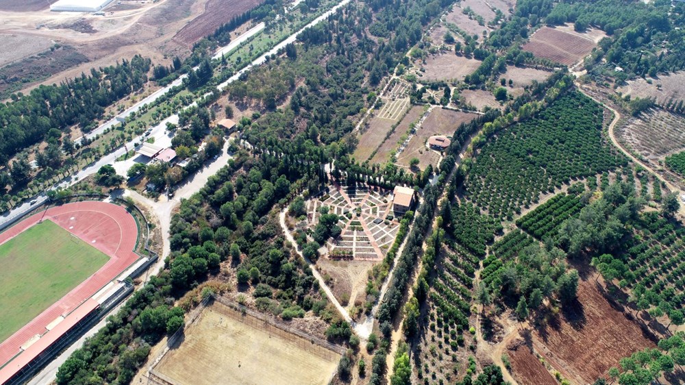 Sakın barbunya sanıp yemeyin! (Siyanürden 6 bin kat daha zehirli) - 8