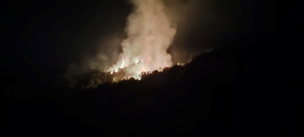 Manisa'da makilik ve tarımsal alanda çıkan yangın kontrol altına alındı - 3