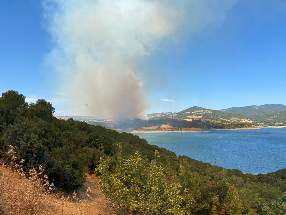 Çeşme'deki orman yangınında 3 kişi hayatını kaybetti - 10