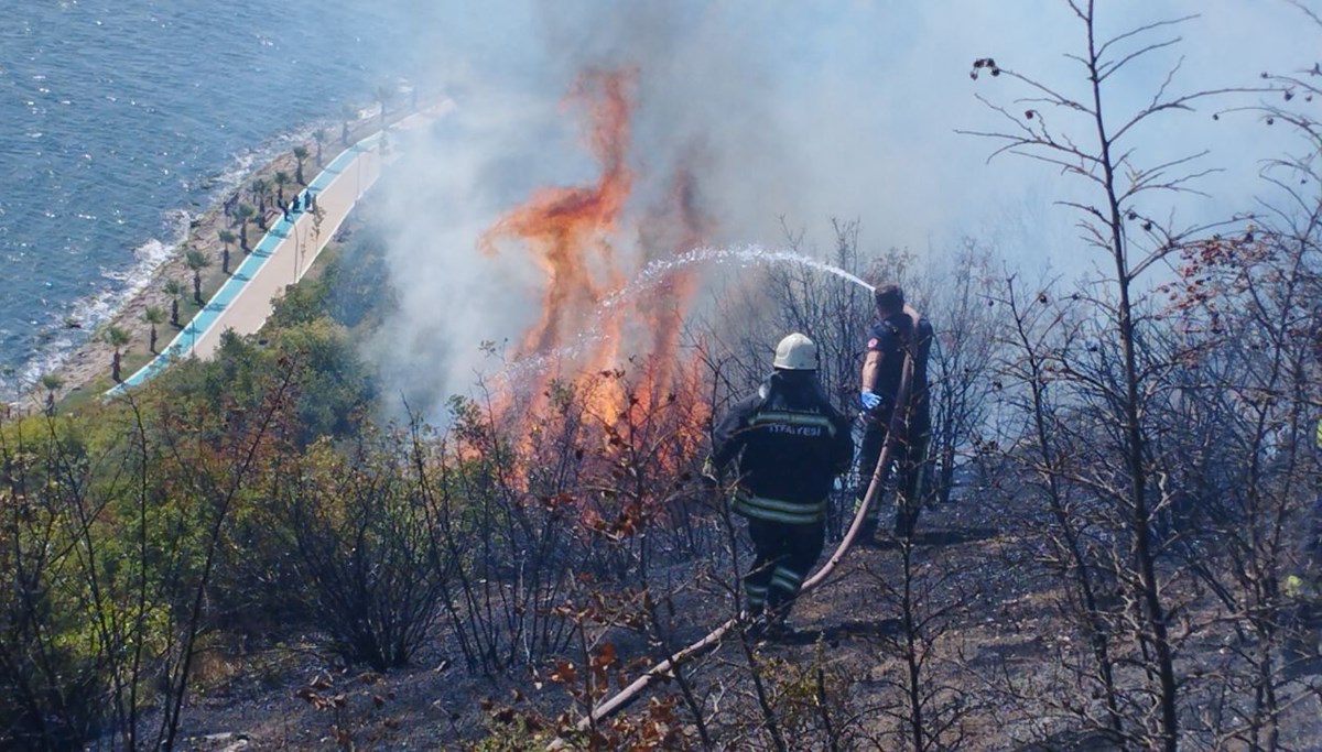 Kocaeli'de makilik alanda yangın Kocaeli'de makilik alanda yangın