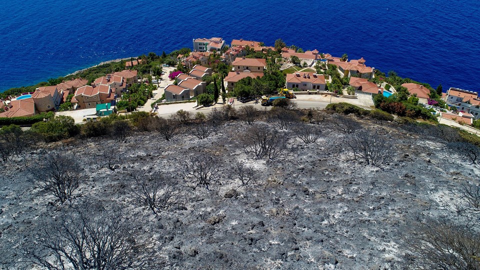 Haluk Levent'ten Kaş yangını sonrası ağaçlandırma kampanyası - 2