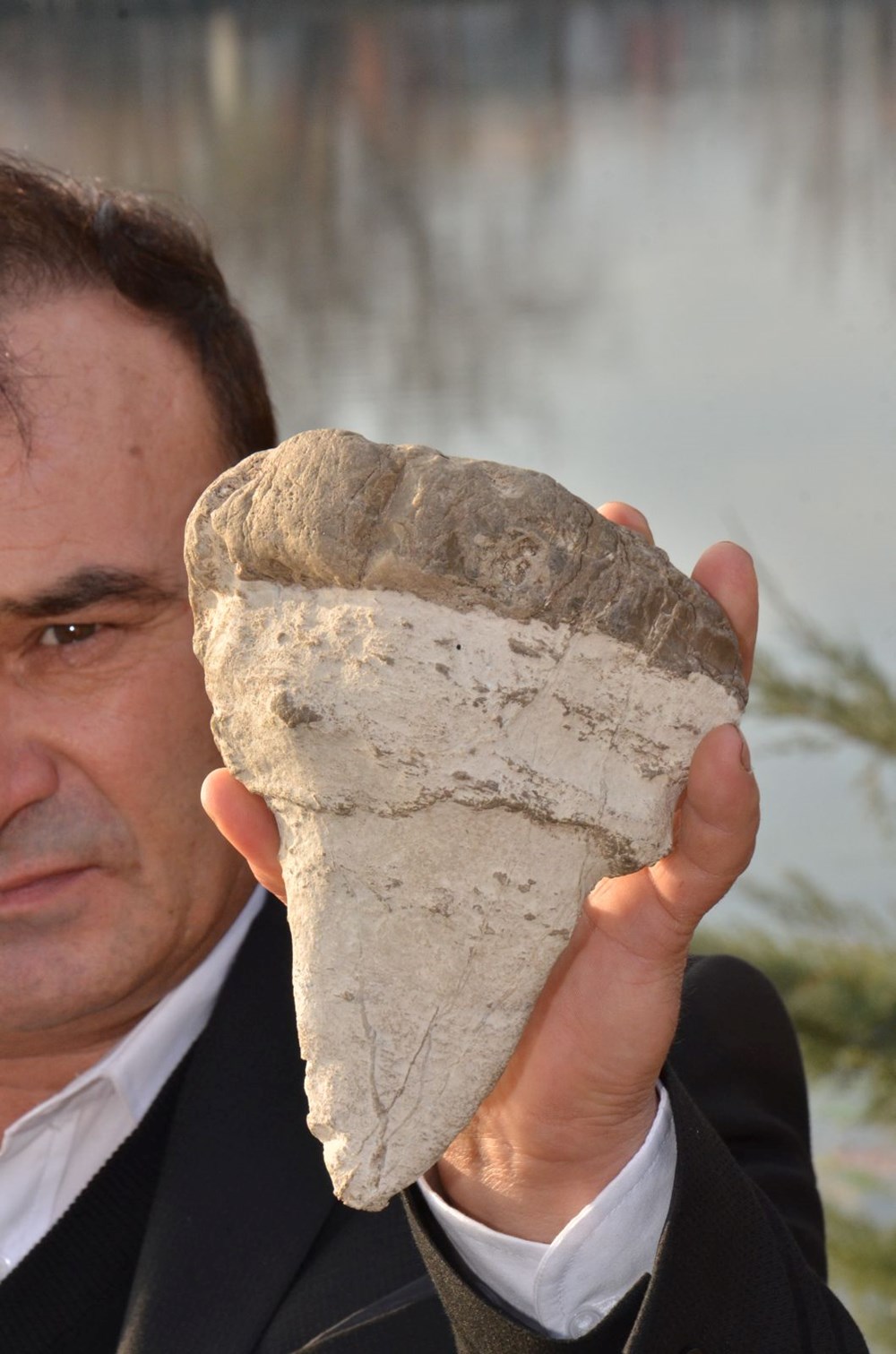Elbistan’da köpekbalığının atası sayılan 20 milyon yıllık megalodon dişi bulundu - 4