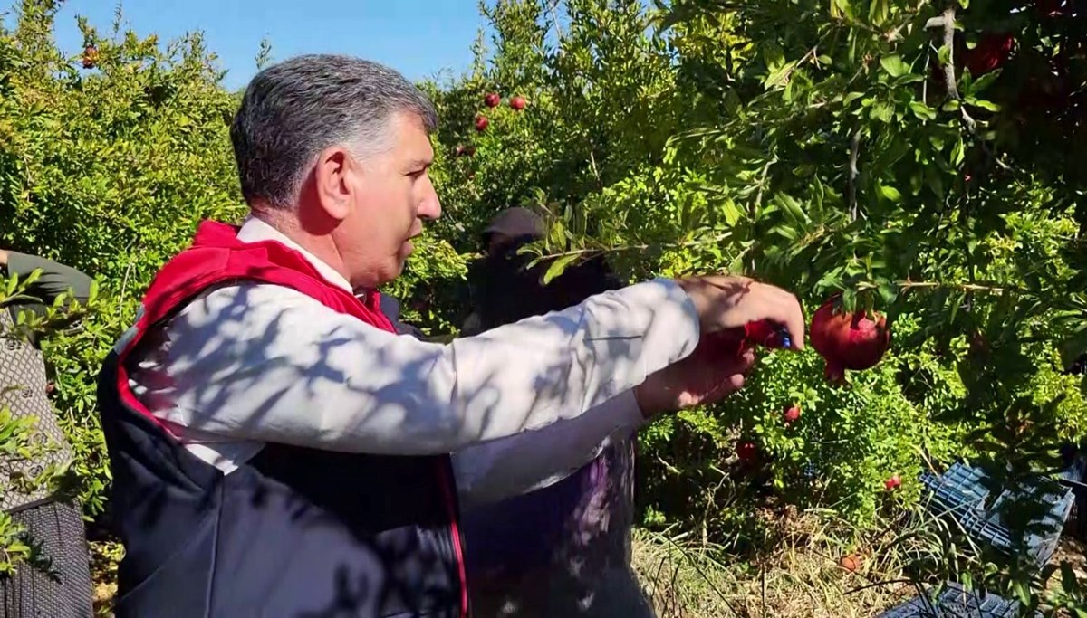 Adıyaman'dan Rusya ve Almanya'ya satılıyor! Kokusu ve lezzetiyle damak çatlatıyor