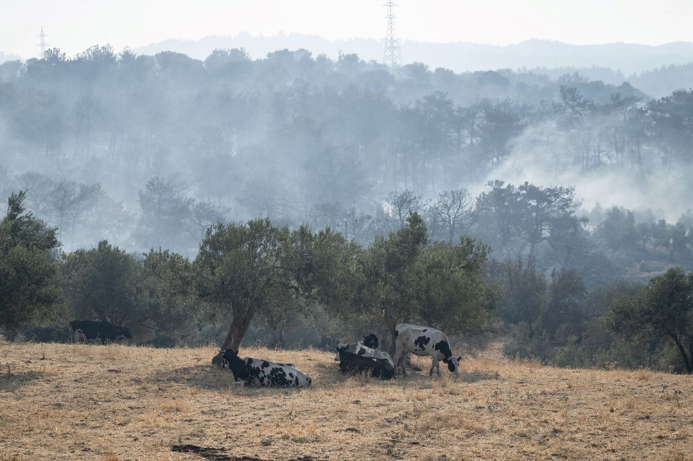 Çanakkale'de orman yangını (Alevlerle mücadelede son durum) - 9