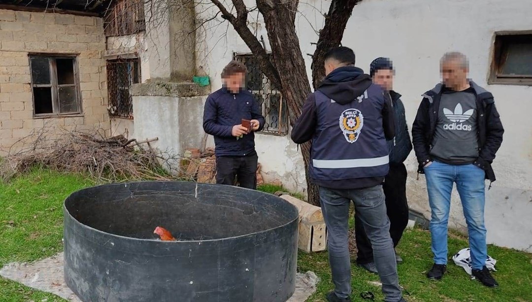 Kütahya'da horoz dövüşüne polis baskını