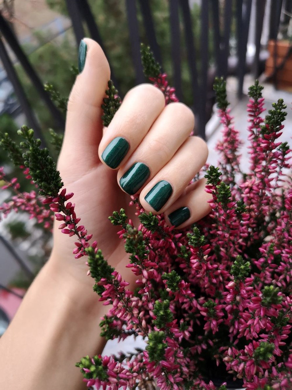 fHMdUrZU00m oadG y3DZA