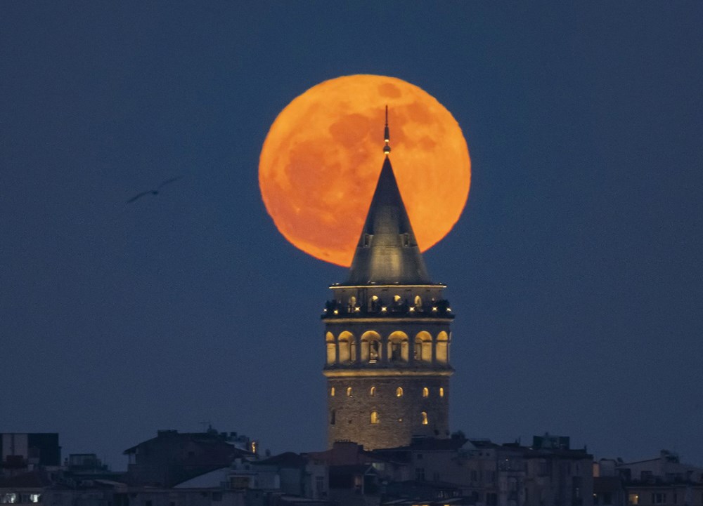 fIE1RSU1hUW 2FSg7bpUNg