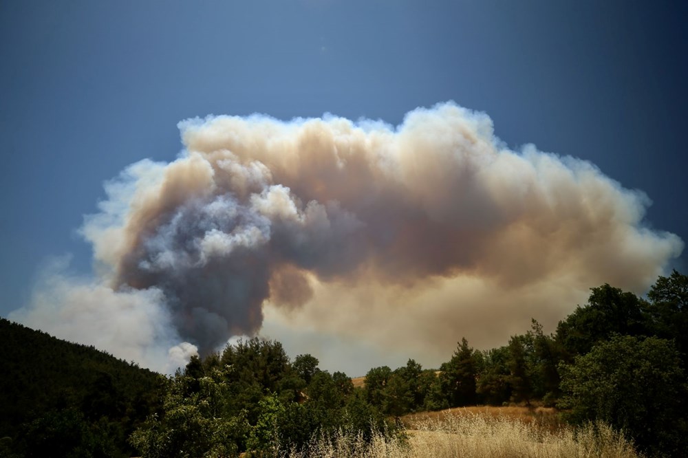 Yedi şehirde orman yangını: Sakarya'daki yangın büyüdü, Bilecik'e sıçradı - 2