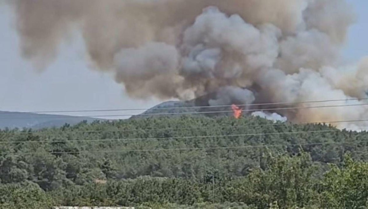 Çanakkale, İzmir ve Malatya'da orman yangını