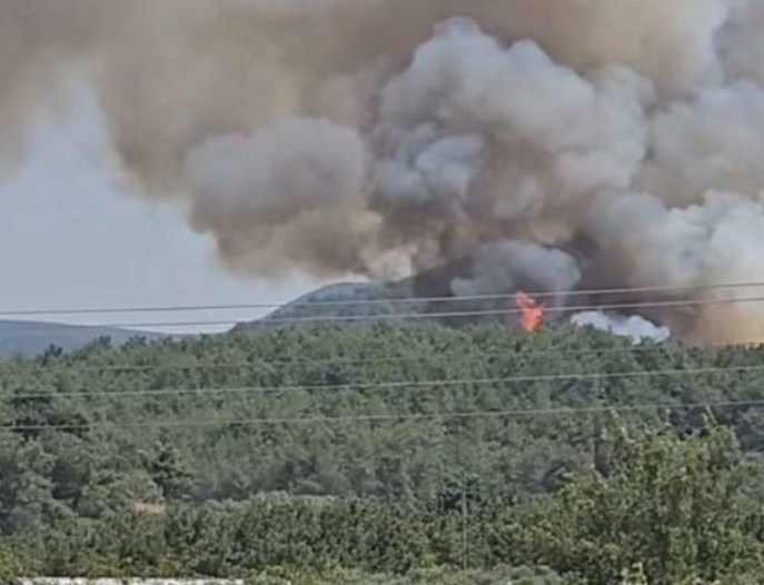 Çanakkale, Malatya ve Muğla'da orman yangını: Üç kişi gözaltına alındı
