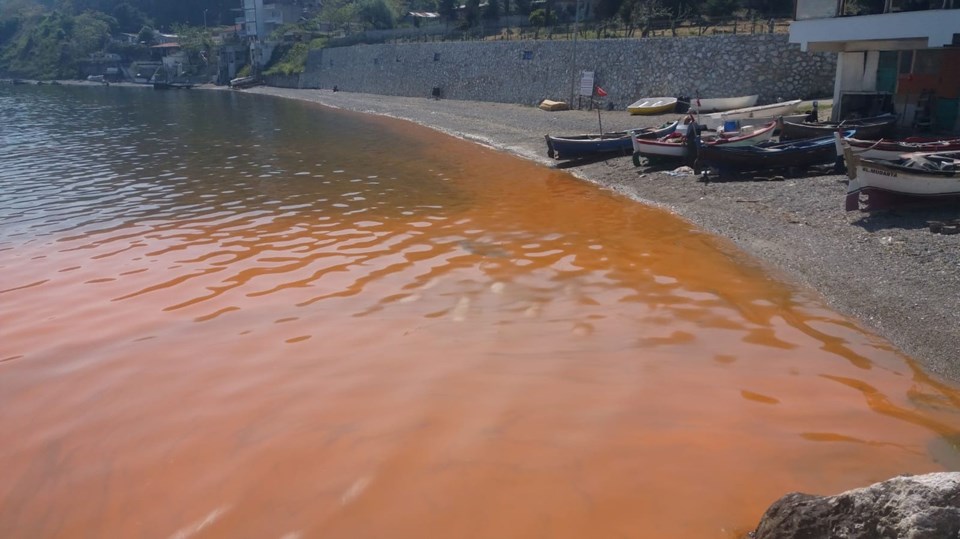 Marmara Denizi'nde tehlike çanları çalıyor: Kirlilik Karadeniz'in en az 2 katı - 1