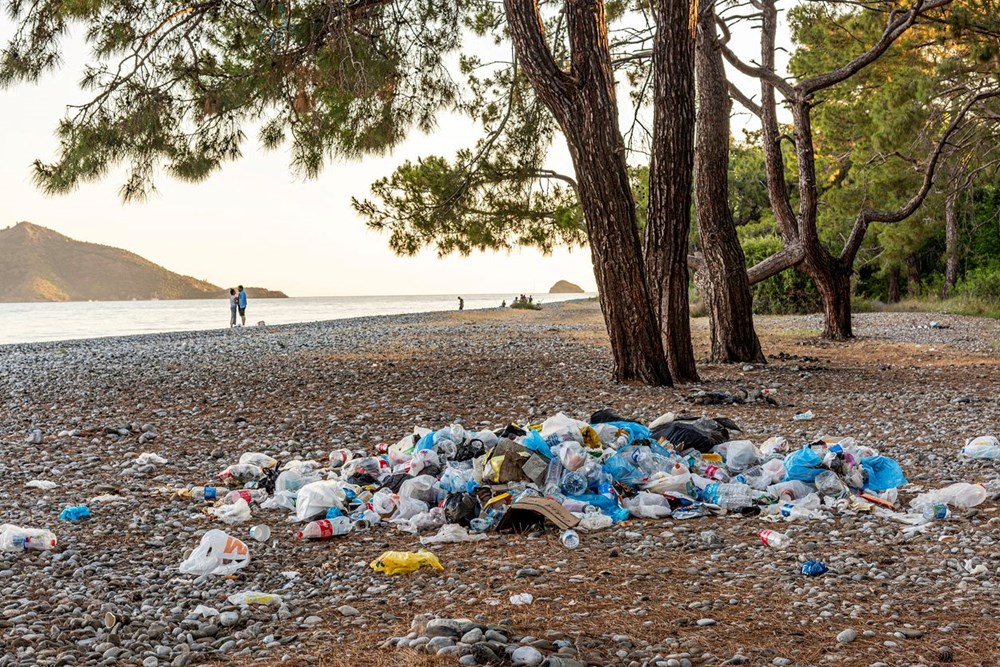 Küresel plastik kullanımı ve atık 2060'a kadar üçe katlanacak - 5