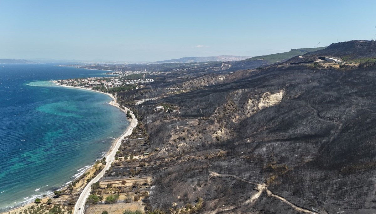Çanakkale'deki yangın felaketi