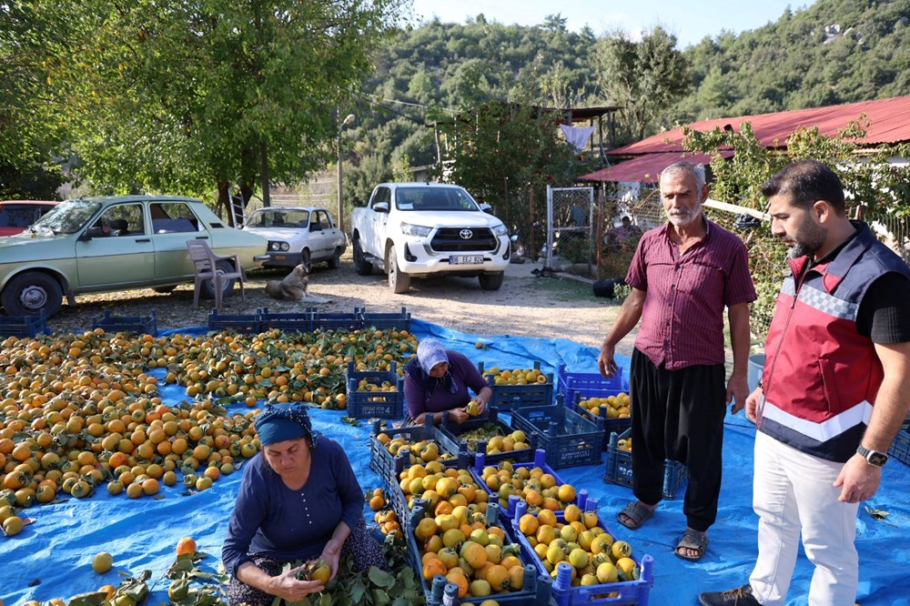 Devlet desteğiyle başladı şimdi talep yağıyor: Kilosu 200 liradan satılıyor - Son Dakika Türkiye Haberleri | NTV Haber