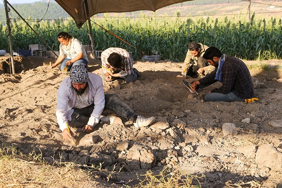 Kahramanmaraş'ta yeni bulunan fil fosilleri incelemeye alındı - 1
