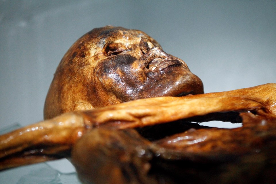 Buzul mumya Ötzi'nin Anadolulu olduğu belirlendi - 1
