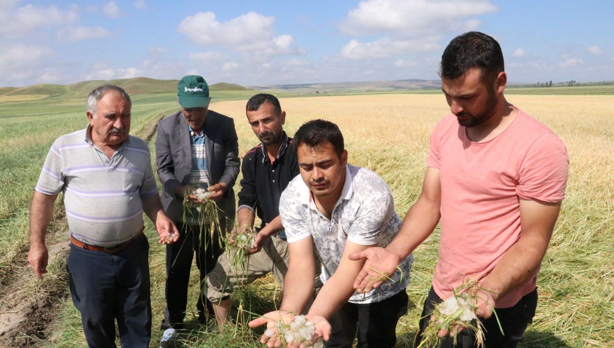 Yozgat'ta dolu yağışı ekili alanlara zarar verdi Yozgat'ta dolu yağışı ekili alanlara zarar verdi