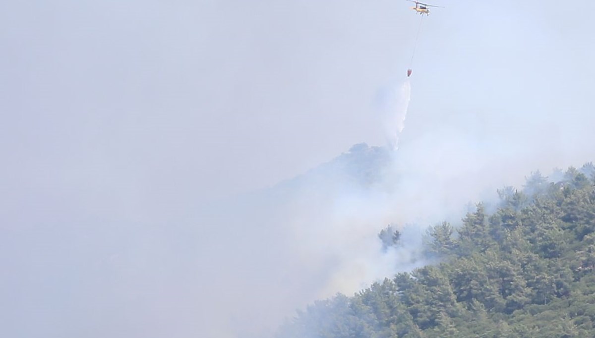 Bodrum'da orman yangını: Alevlere havadan ve karadan müdahale ediliyor