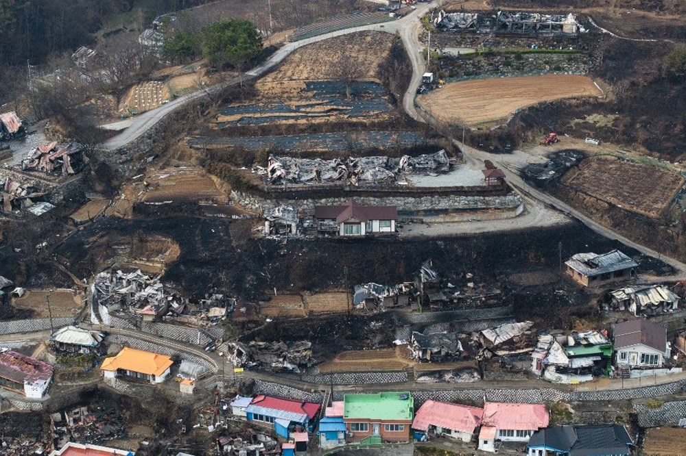 Güney Kore'de orman yangınları: Hasar kestirim edilenin iki katı 74