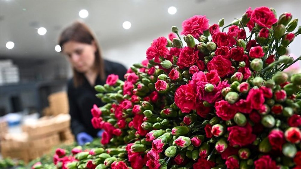 fU9gi37D4EaQfS8cbcmCuw