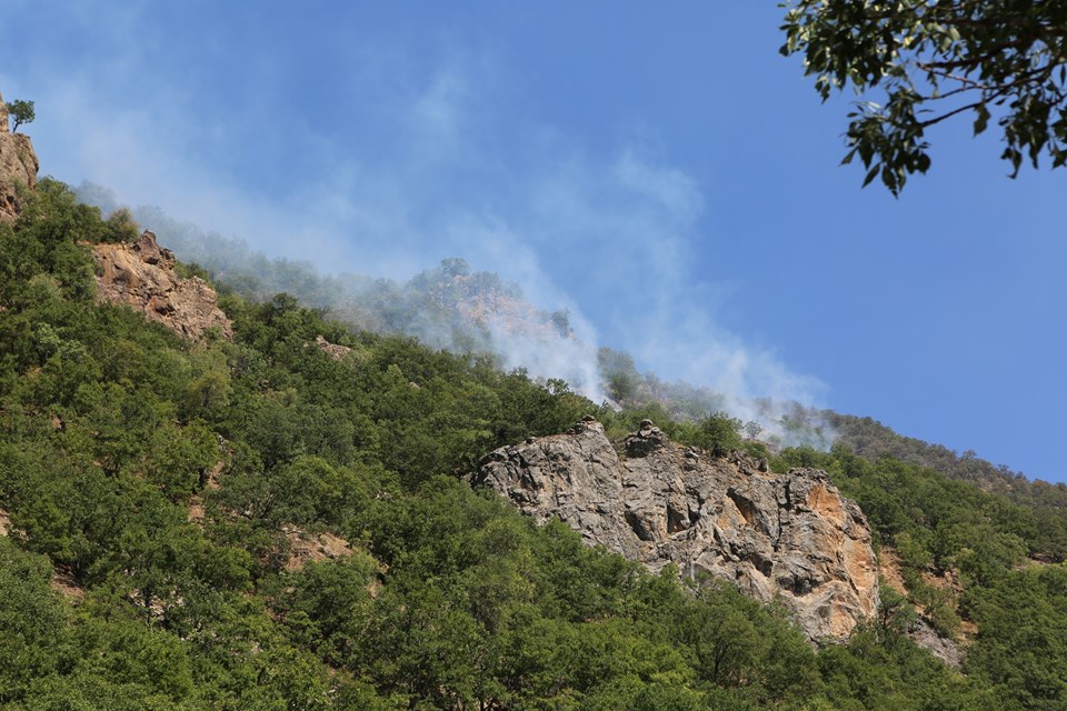 Tunceli ve Bingöl'de orman yangını - 1