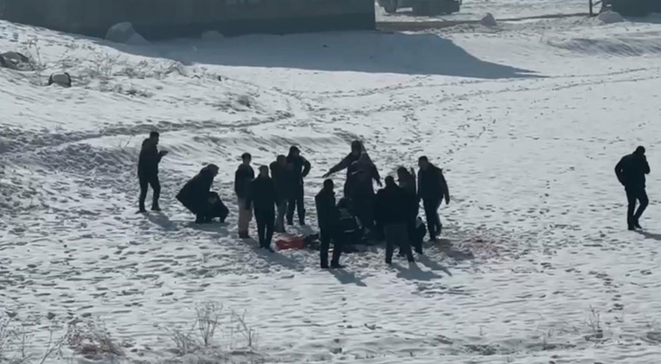 Sahipsiz köpekler 12 yaşındaki kızın boğazını parçaladı: Yaşam mücadelesini kaybetti - 2