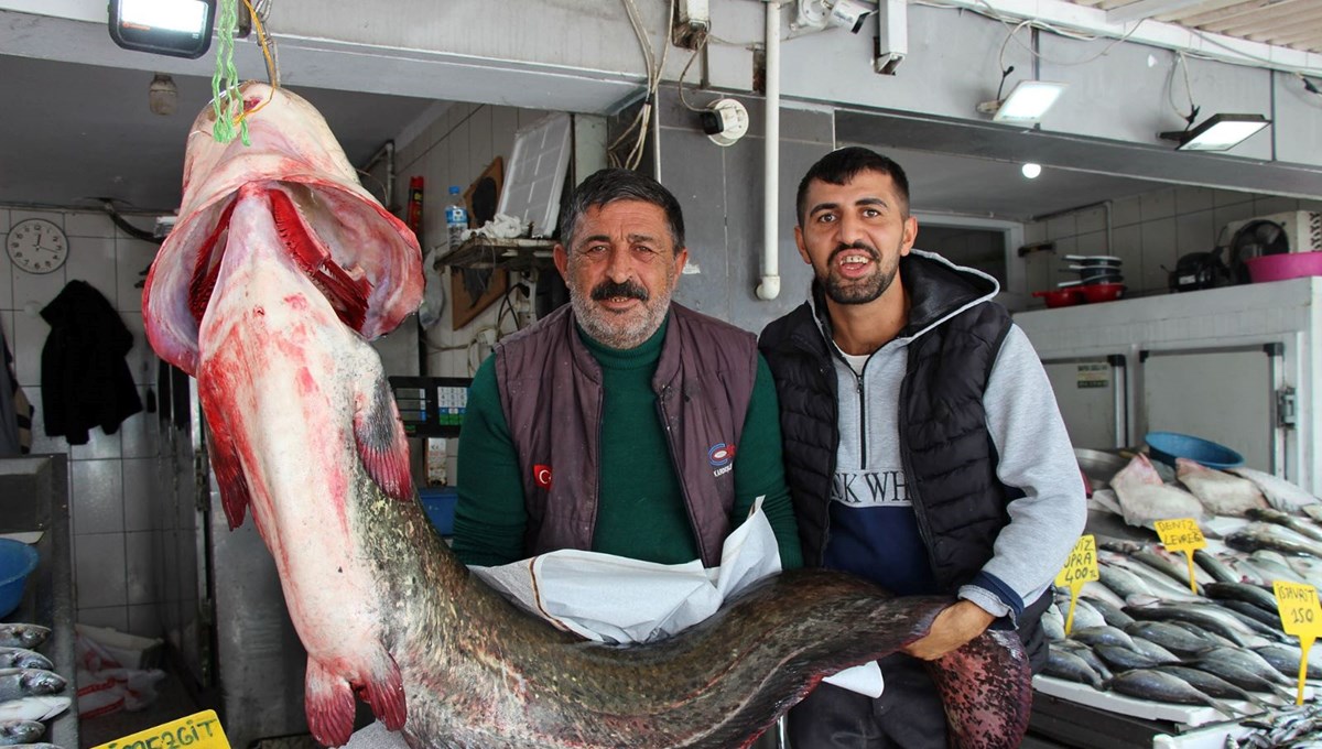 Altınkaya Barajı'nda 85 kiloluk dev yayın balığı yakalandı