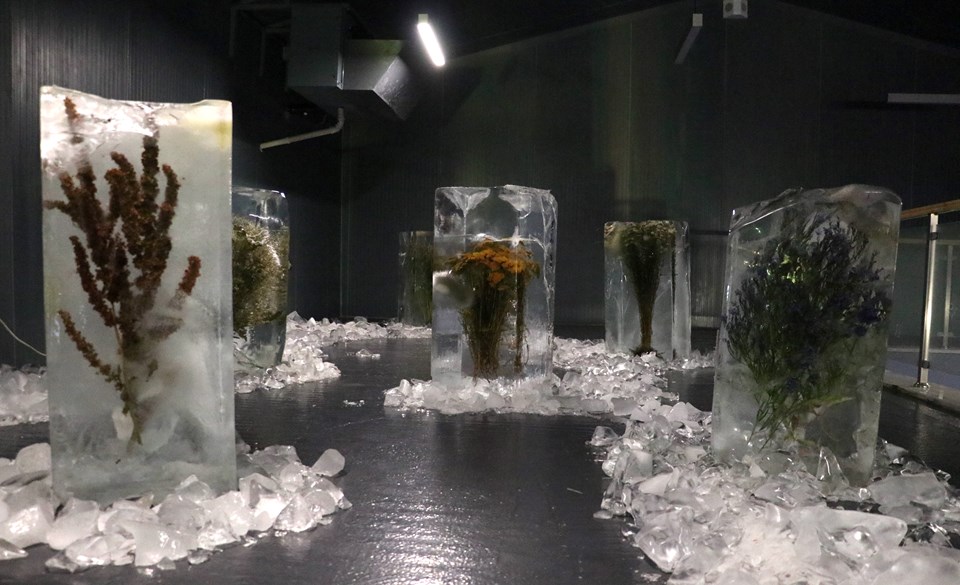 Erzurum'daki Ata Buz Müzesi'nde buz içindeki bitkilerle küresel ısınma anlatılıyor - 4