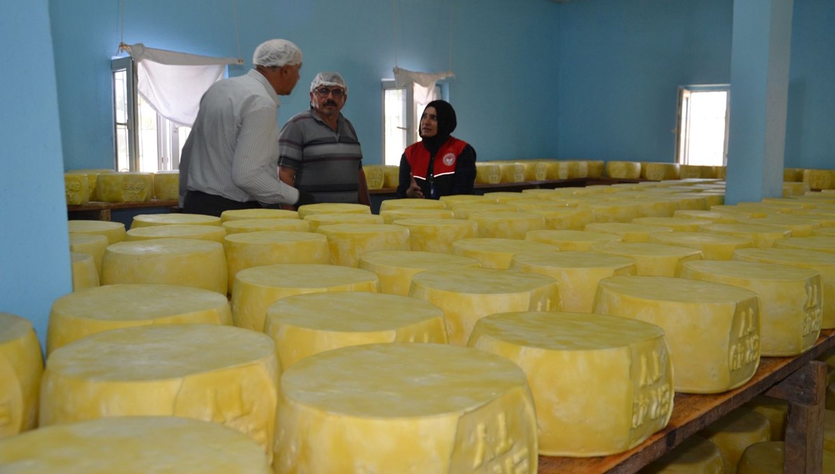 Girişimci 5 kardeş tesis kurdu şimdi ülkenin dört bir yanına pazarlanıyor