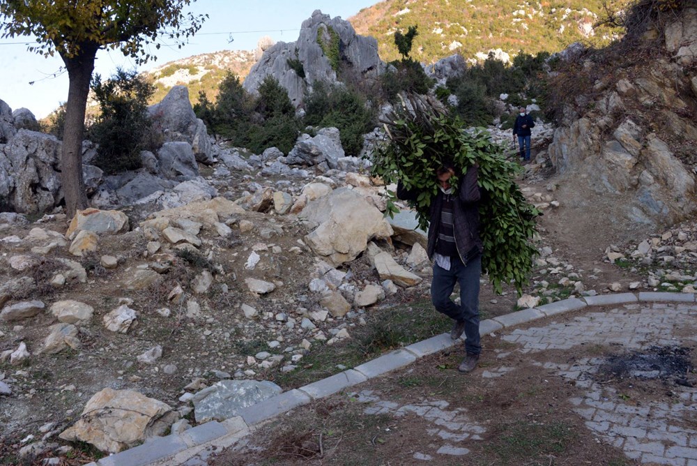 Dağlardan topladıkları defneden günlük 500 lira kazanıyorlar - 7