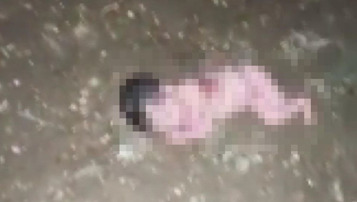 Bahçede yeni doğmuş bebek bulundu