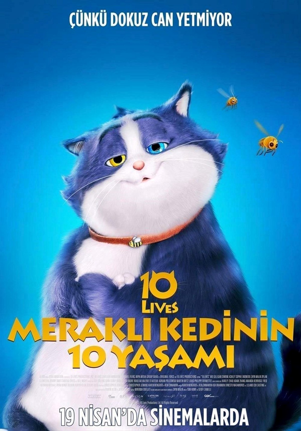 fY_PY7ZffUKqEX6ysT0RzQ.jpg