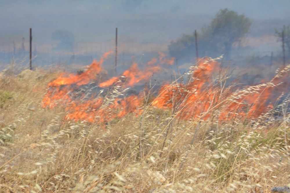 Uşak'ta orman yangını: 40 saat sonra kontrol altına alındı - 11