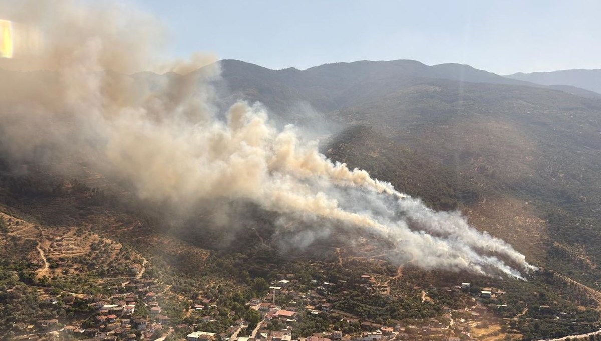 Aydın Bozdoğan'da yangın