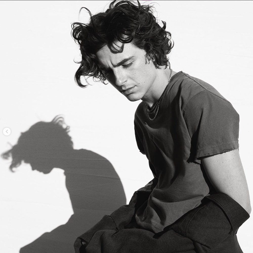 Fransız moda devinin yeni yüzü: Timothee Chalamet - 5