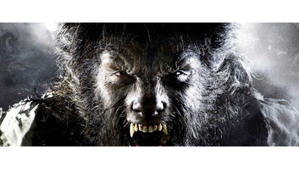 hotelzodiacobolsena site