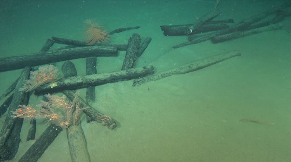 Güney Çin Denizi'nde 2 antik gemi enkazı keşfedildi: İpek Yolu'yla ilgili önemli ipuçları sağlanabilecek - 2