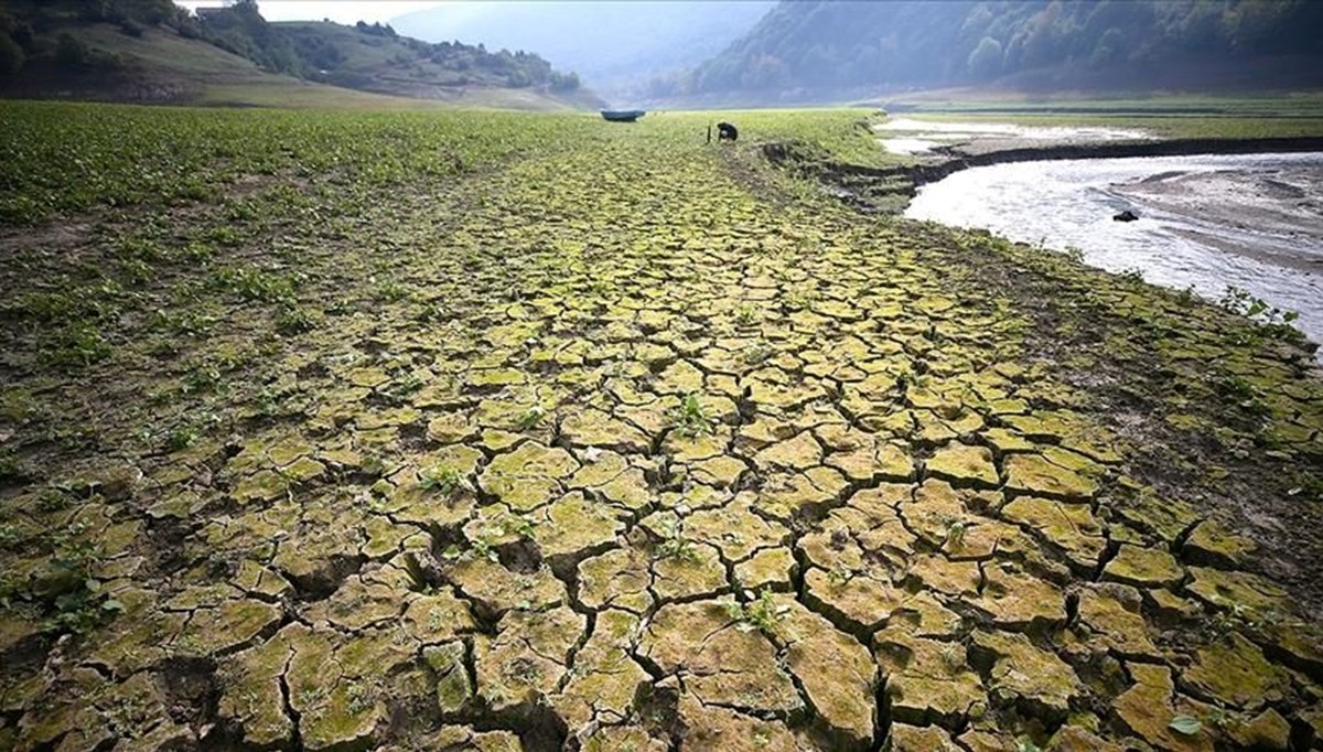 Dünya Çevre Günü: İklim krizi yaşamı tehdit ediyor