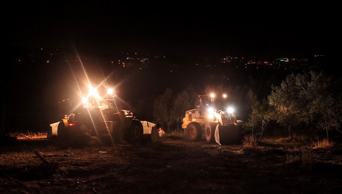 Bursa'da orman yangını