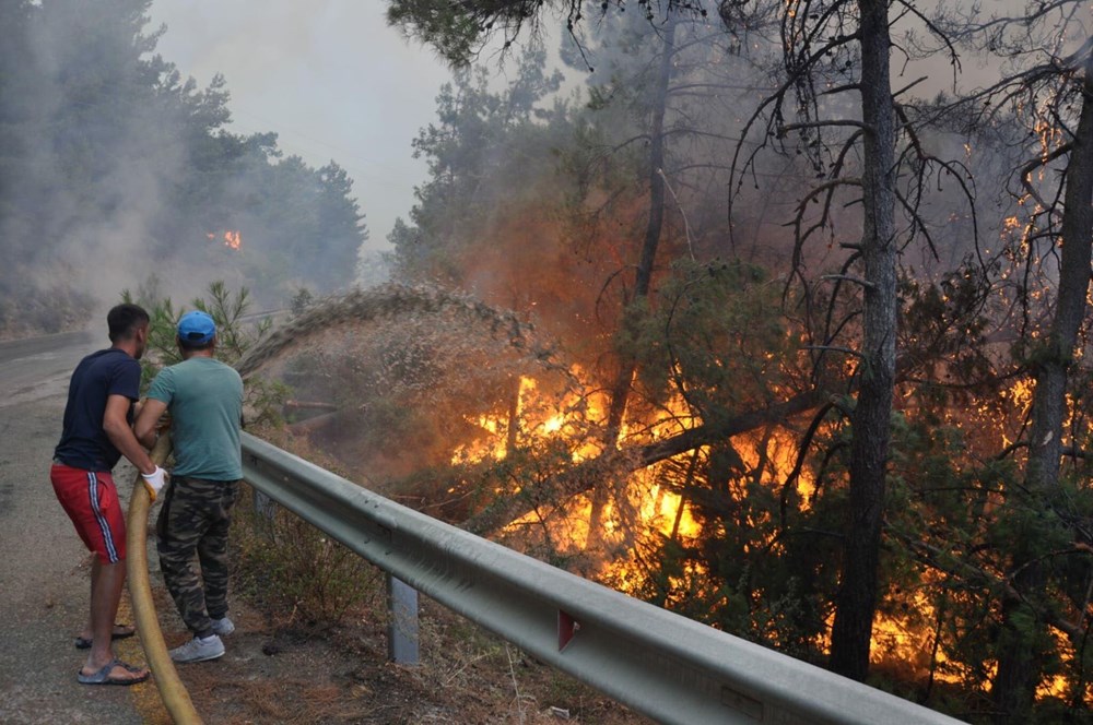 Muğla Datça'da orman yangını - 1