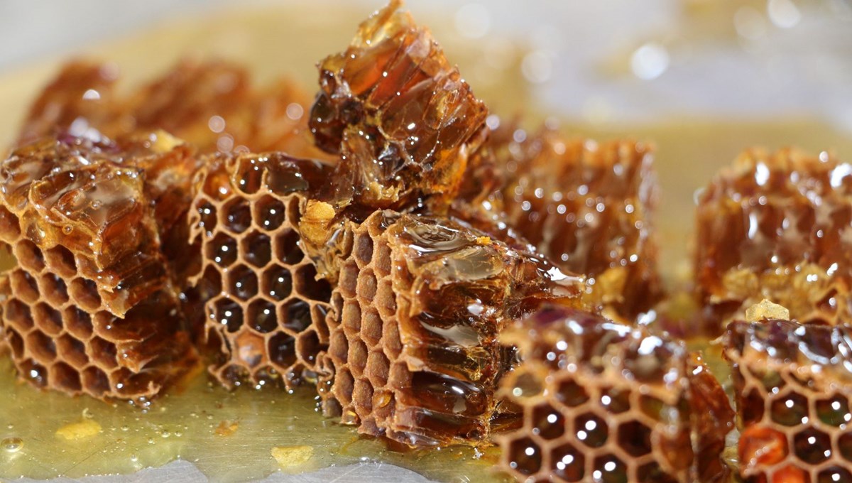 Padişahların balı olarak biliniyor: Bu yıl rekolte 3 kat daha fazla