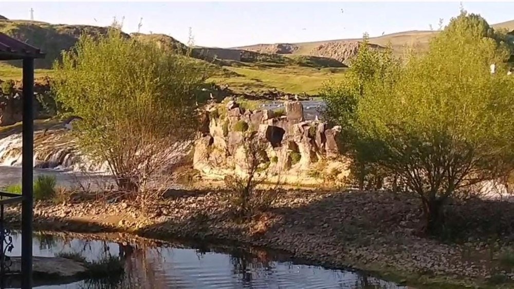 İnci kefalinin göçü turistlerin ilgi odağı oldu: Binlerce kilometreyi aşıp geldiler 73 fdtugn1AbUaKPukE9gZ4Sg