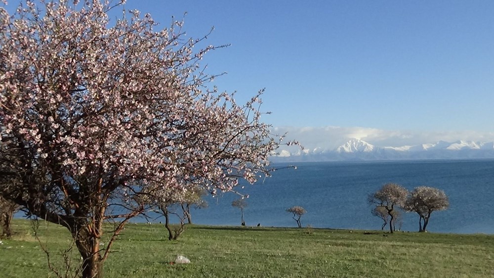 Doğaseverlerin yeni rotası Çarpanak yarımadası - 1