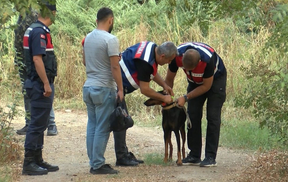 Arama çalışmalarında 85'inci gün | Korhan Berzeg'in köpeği Tina'nın tahlil sonuçları belli oldu - 6
