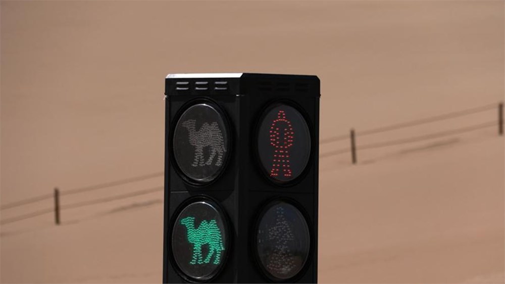 Develere
özel trafik lambası - 2
