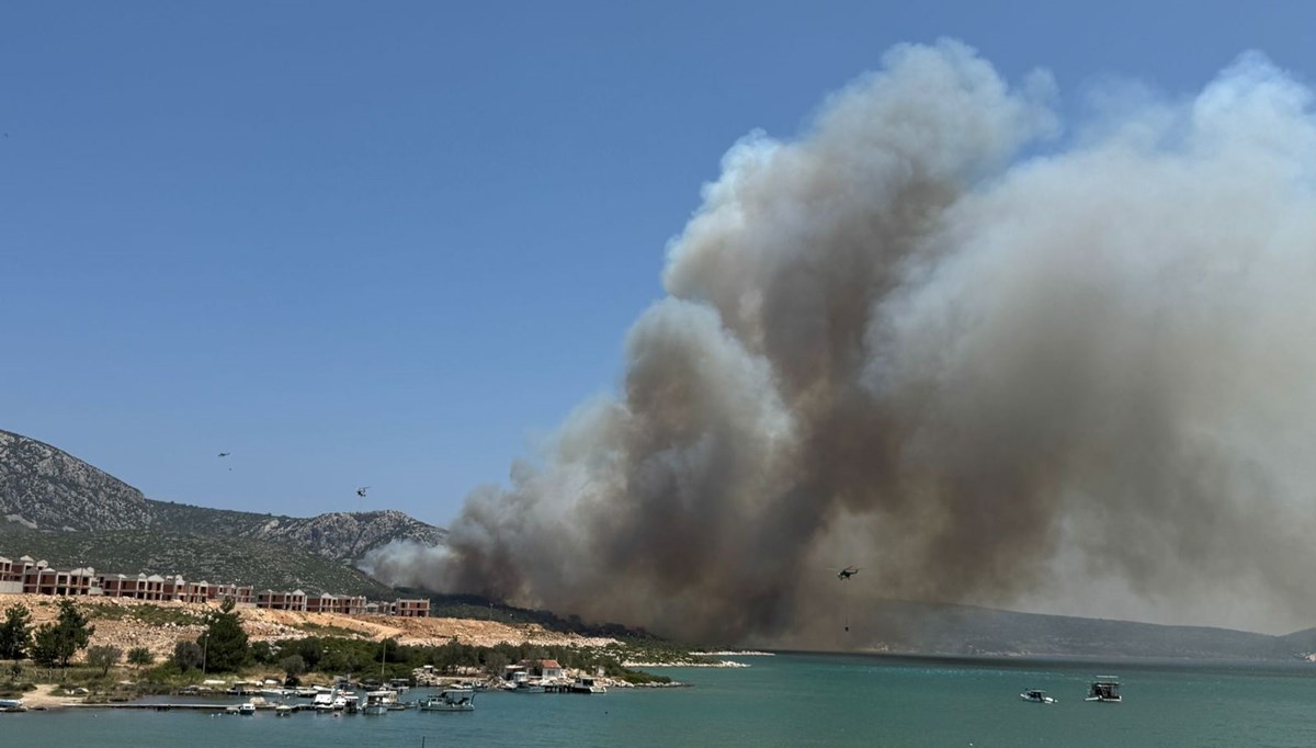 İzmir'de orman yangını