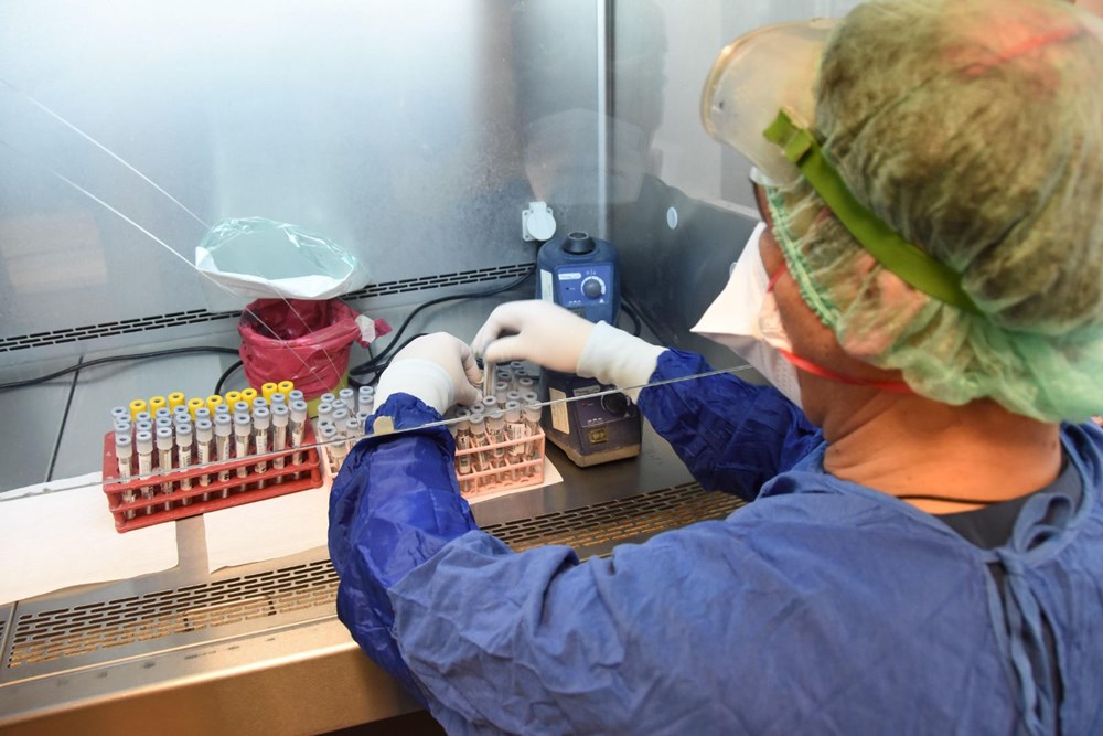 Mutated corona virus cases are detected in 40 minutes - 23