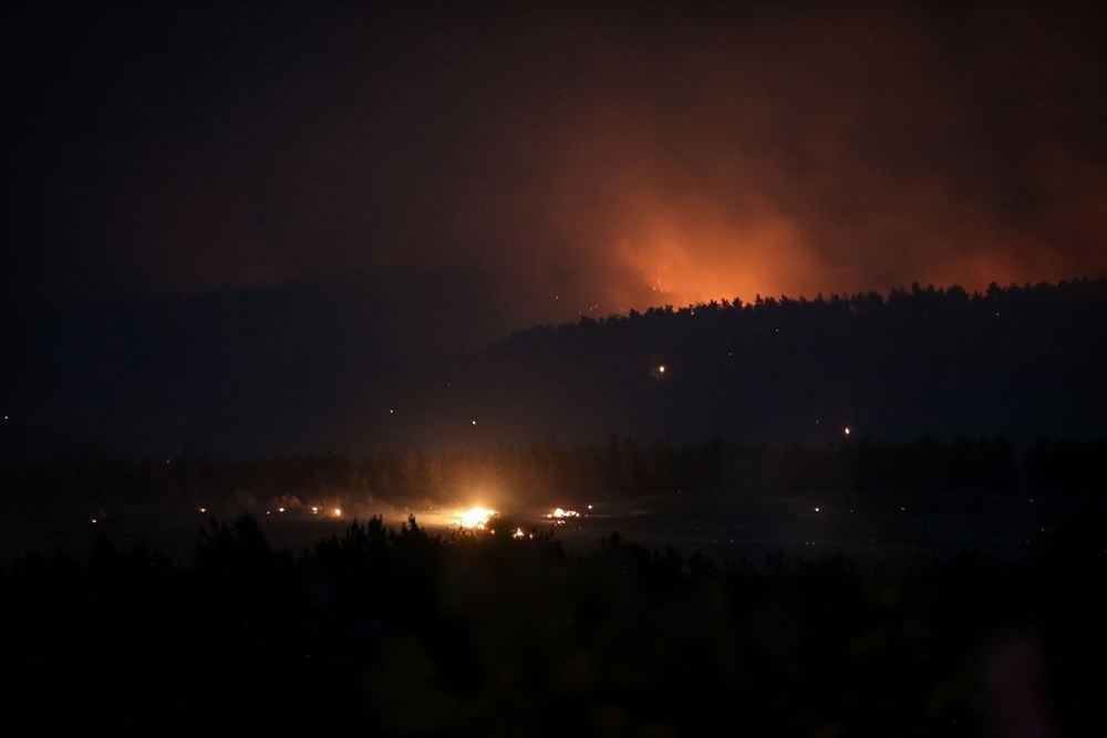 Gelibolu Yarımadası'nda orman yangını - 11
