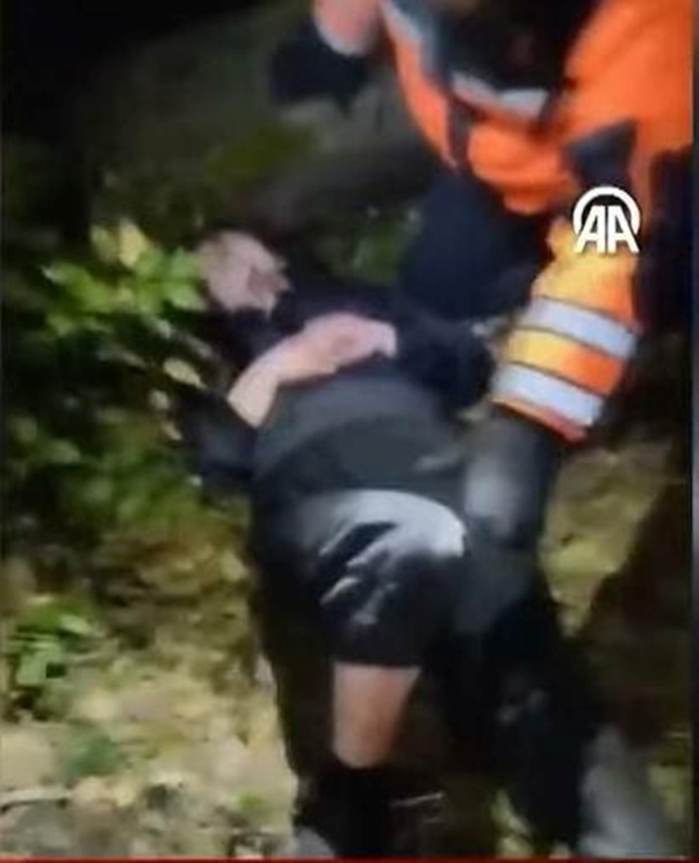 Kaybolan Mimarın Ormandaki Esrarengiz Sonu: Ece Gürel Vakası 72 fkw ZZboHEe1PY6dUckHcQ